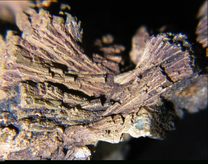 Gadolinite photo